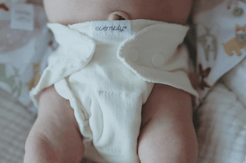 Esembly Inner- 3 pack Cloth Diaper