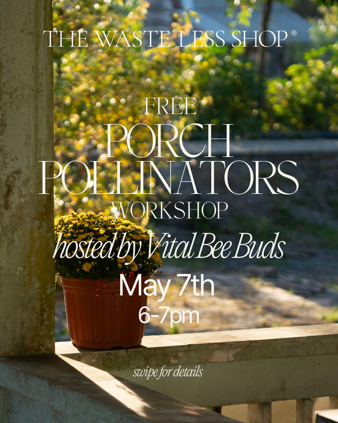 FREE Eco Workshop- Porch Pollinators by VitalBeeBuds