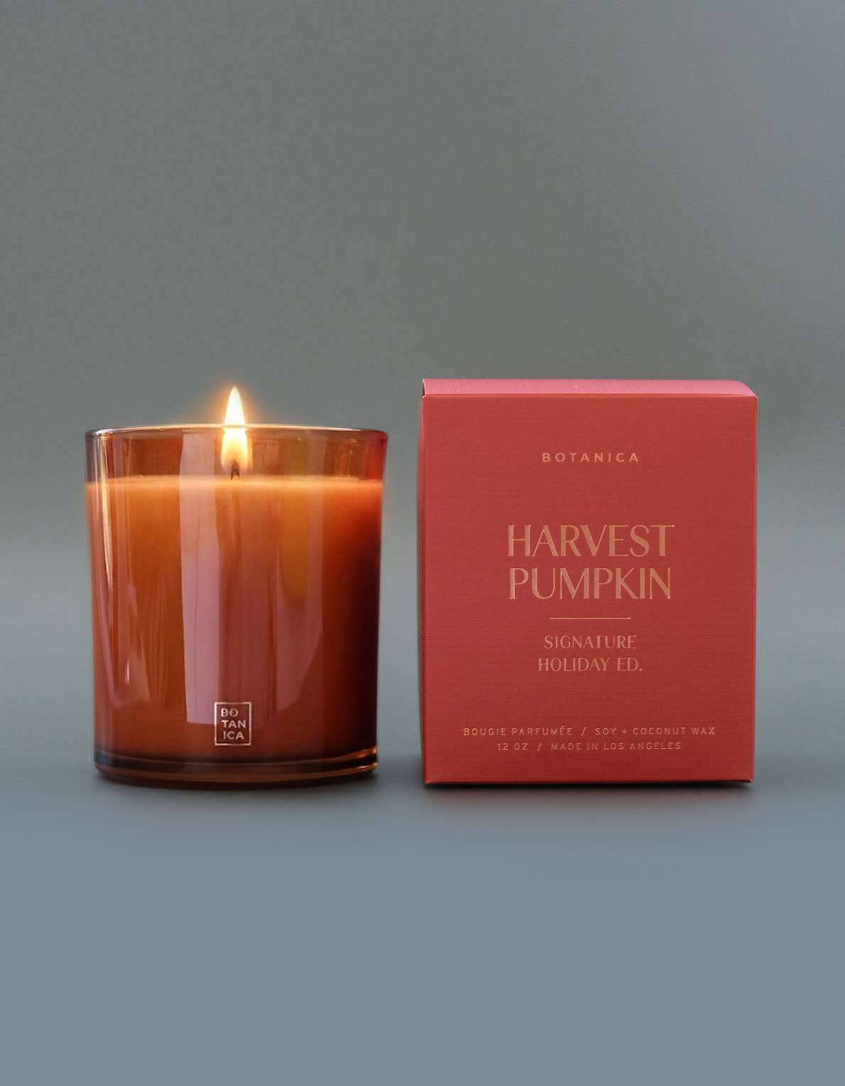 Harvest Pumpkin Candle | 12 oz.