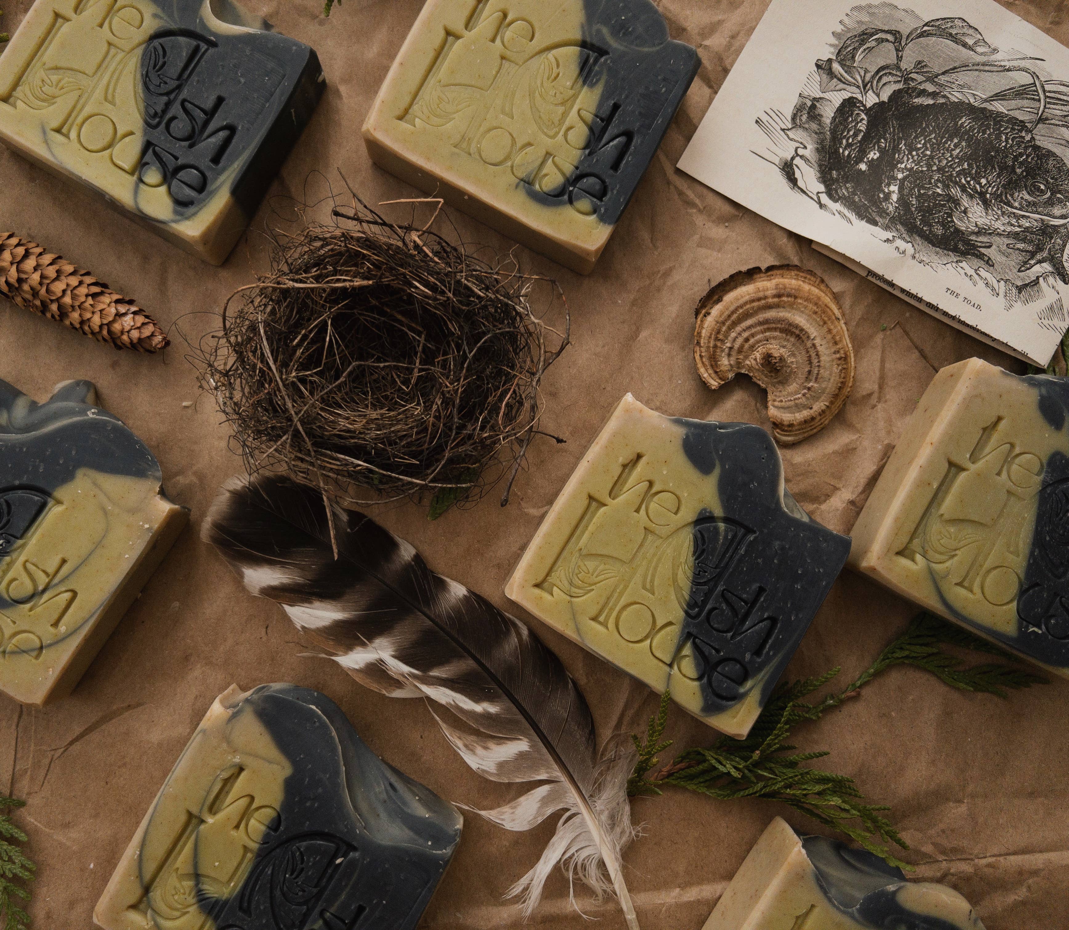 Forest | Signature Handcrafted Palm Oil Free Soap