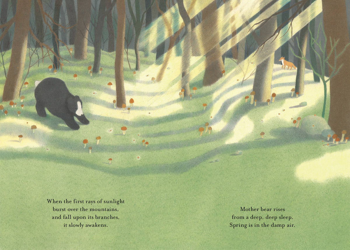 A Song of the Seasons: Yibing Deng