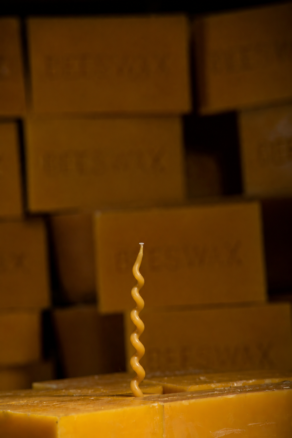 Twirled Wish & Wonder Candlesticks | Beeswax Birthday Candles