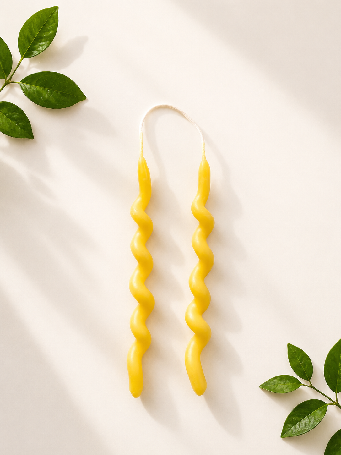 Twirled Wish & Wonder Candlesticks | Beeswax Birthday Candles