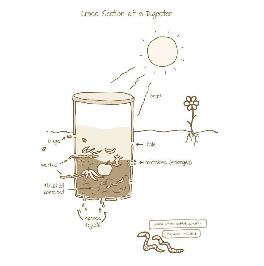 Compost City: Practical Composting Know-How