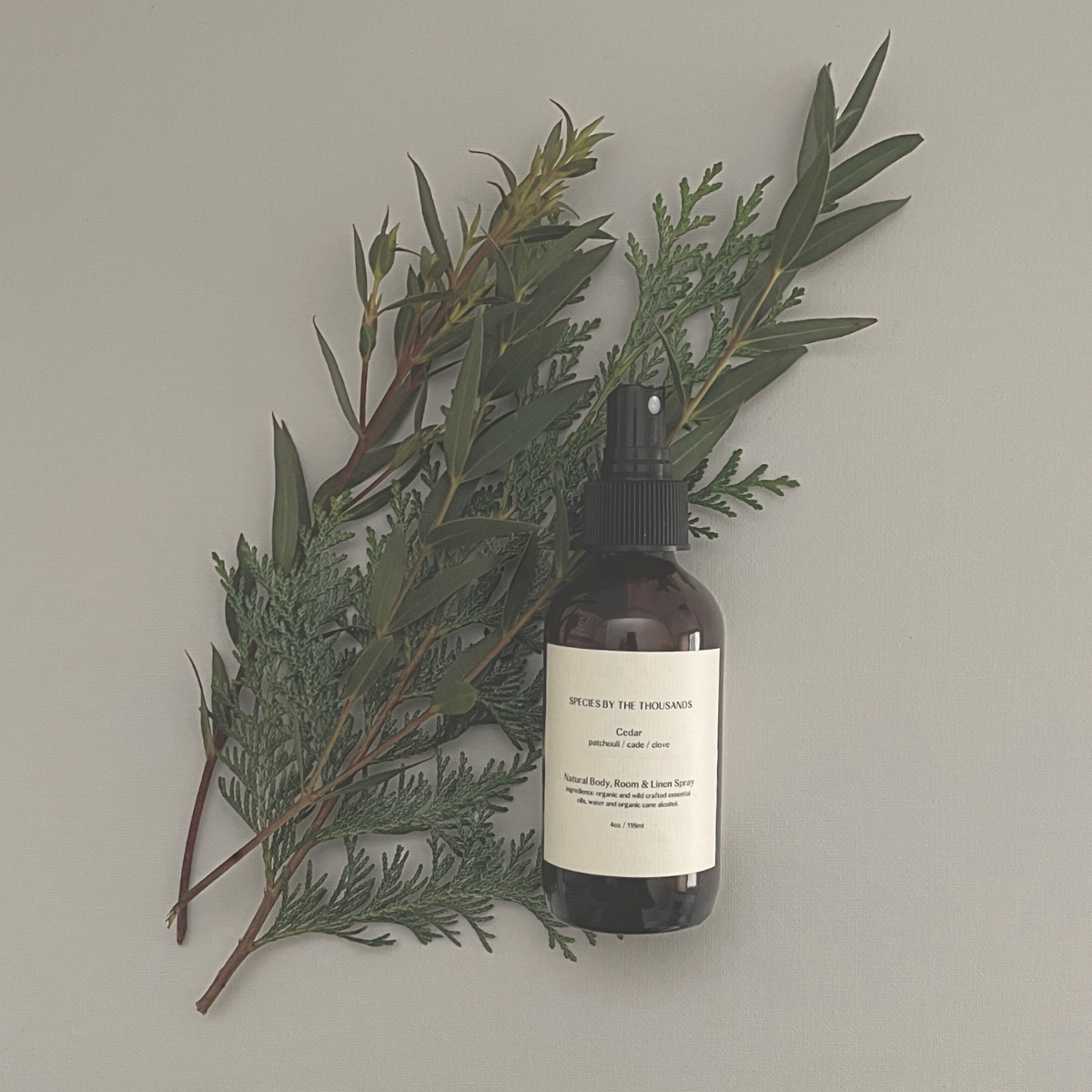 Cedar Essential Oil Body, Room & Linen Spray | Species By The Thousands