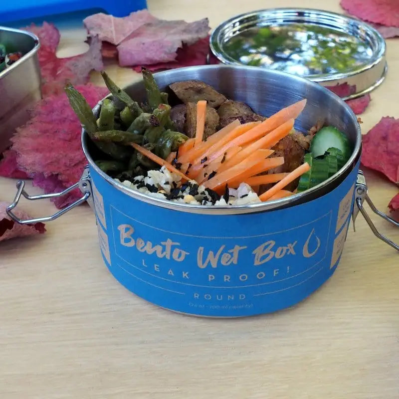 Bento Wet Box- Leakproof | ECOlunchbox