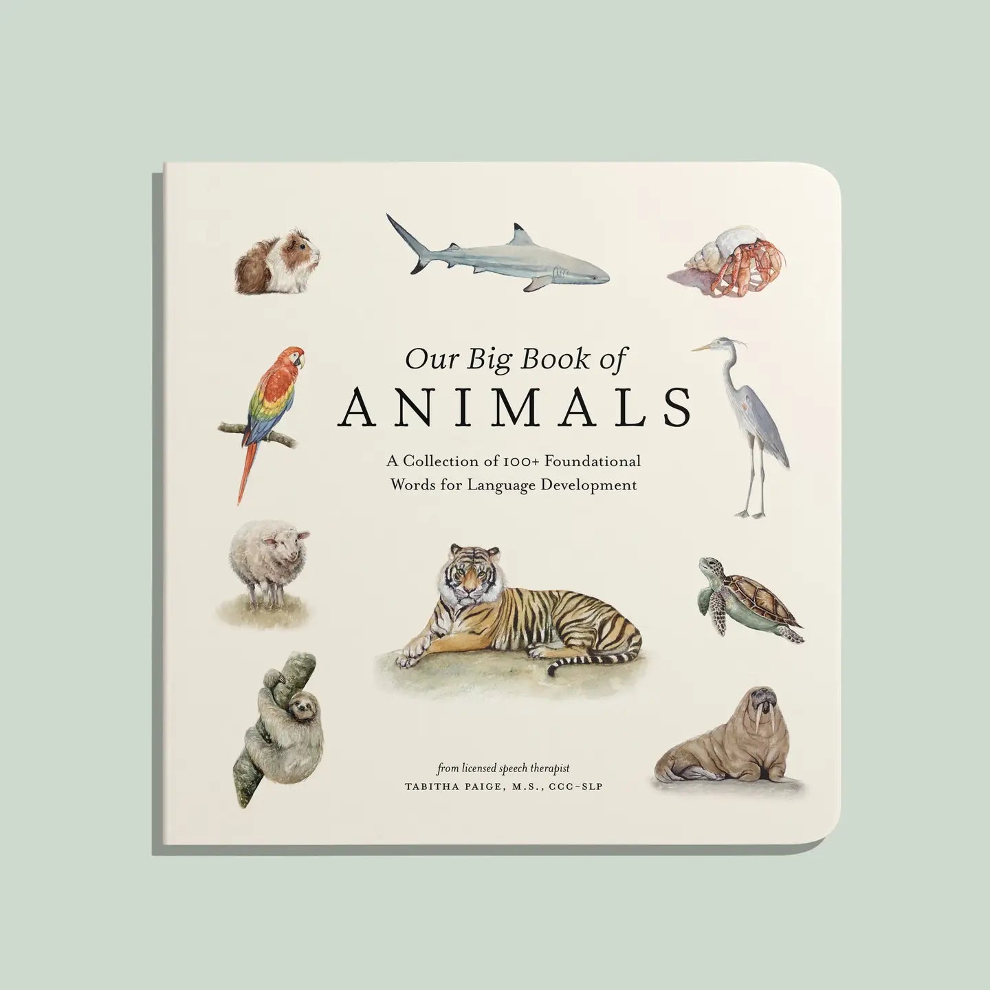 Our Big Book of Animals