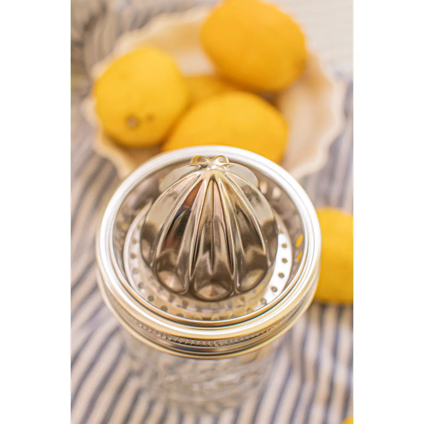 Stainless Steel Juicer