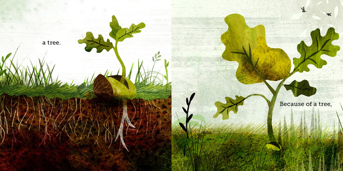 Because of an Acorn: Lola M. Schaefer + Adam Schaefer