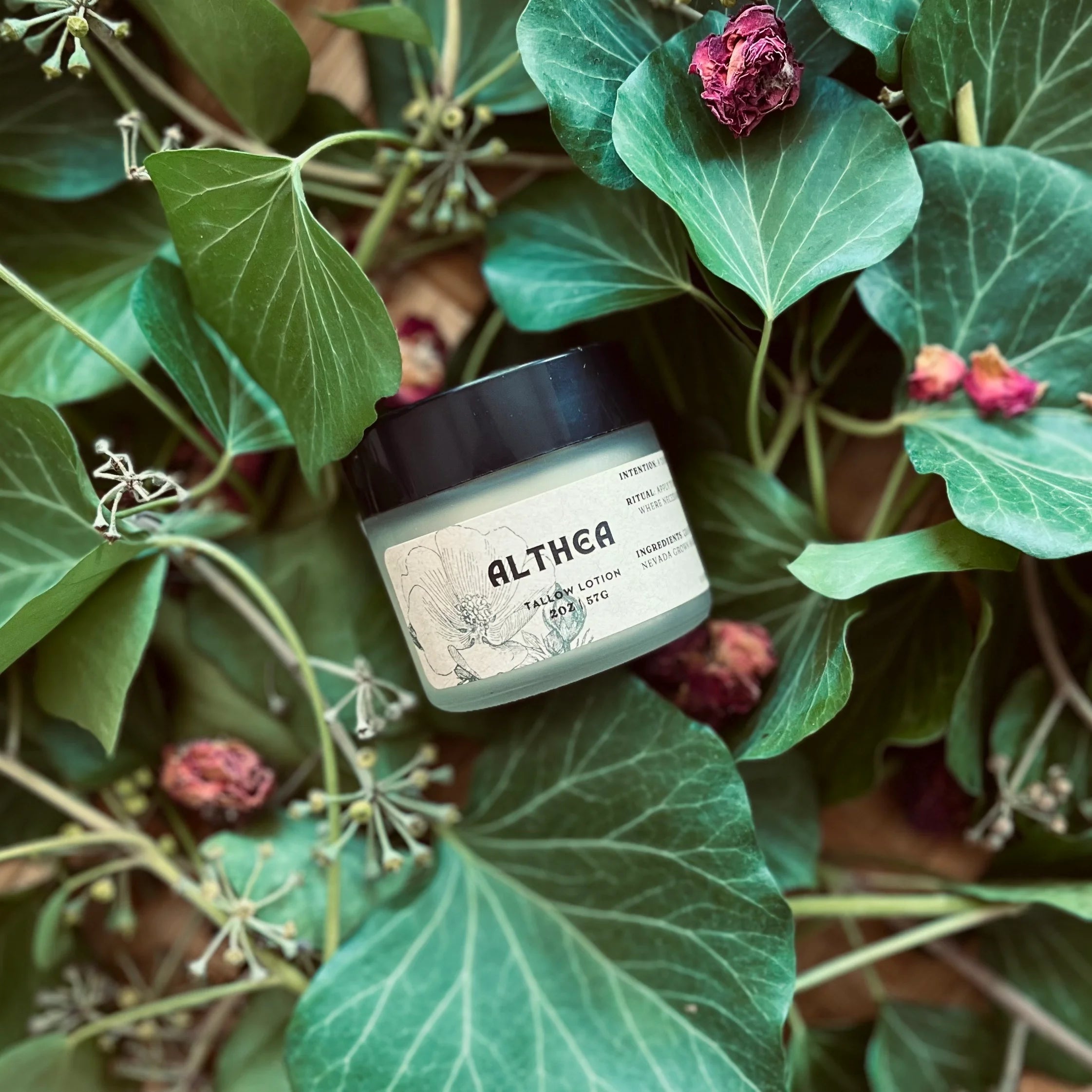 Althea Tallow Cream