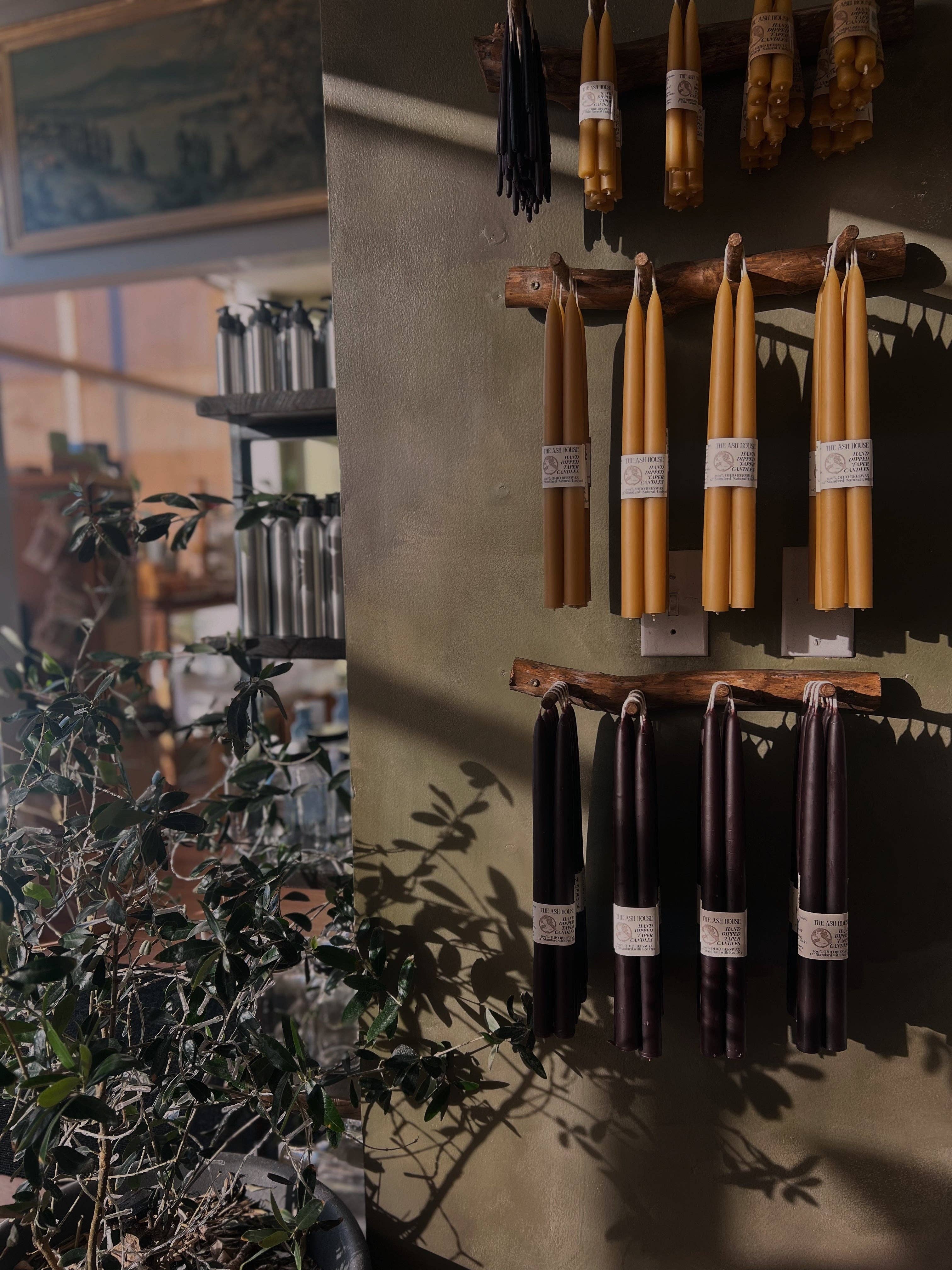 Beeswax 12" Taper Candles