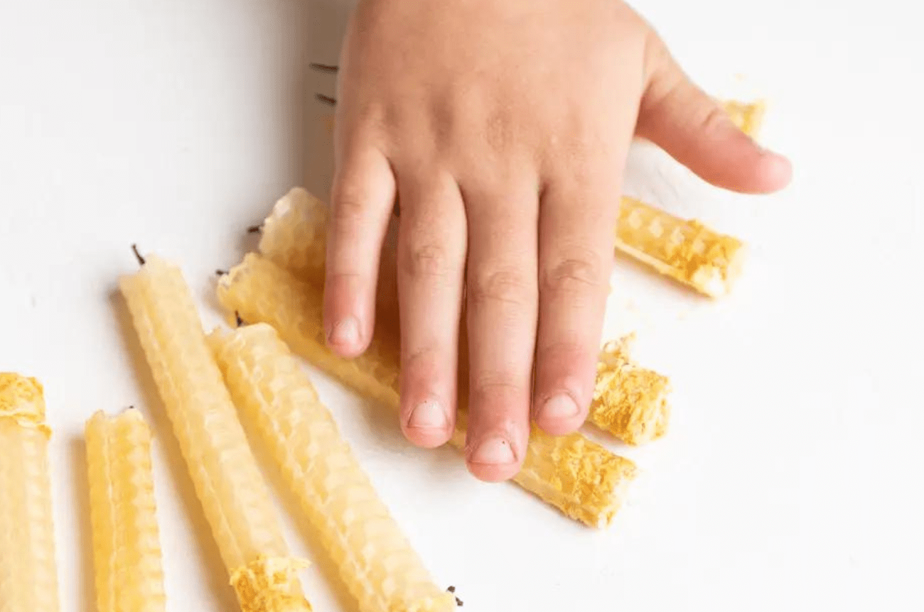 Eco Kids Beeswax Candle Kit