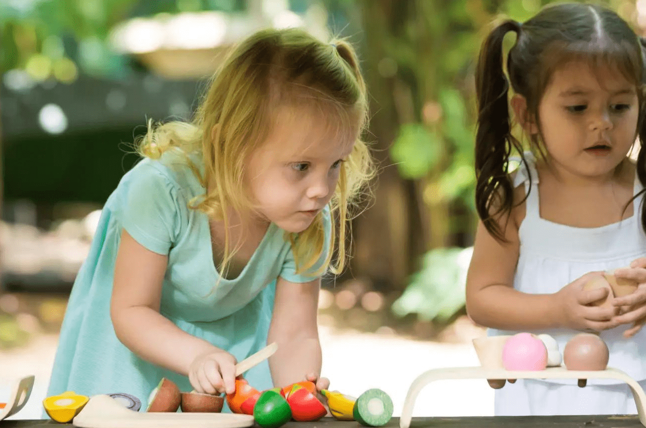 PlanToys Assorted Fruit and Vegetable Toys