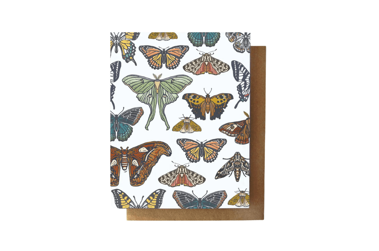 Root & Branch Paper Co. Butterfly+Moth Everyday Greeting Card Eco Friendly Seasonal Greeting Cards