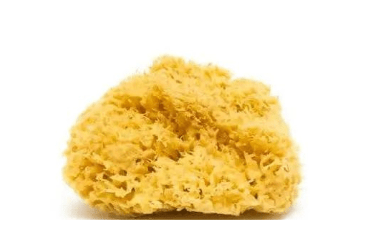 Smile Boutiques Honeycomb Natural Sea Sponge