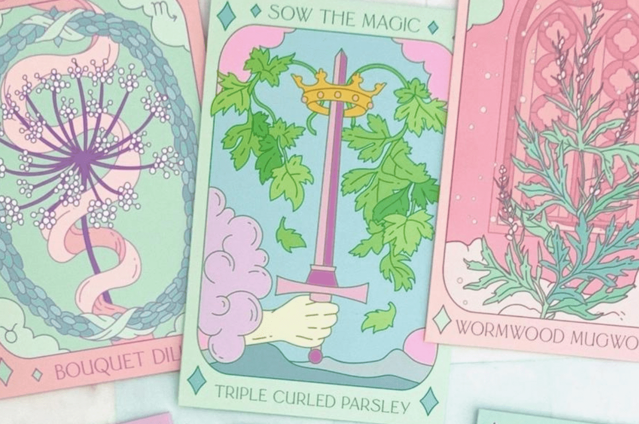 Sow the Magic Triple Curled Parsley Tarot Seed Collection