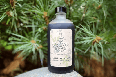 Terroir Herbals Elderberry Syrup