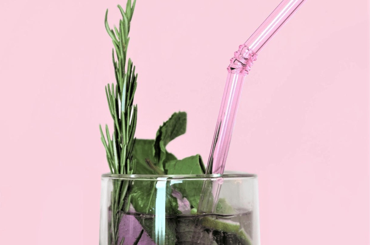 The Waste Less Shop Reusable Glass Straw