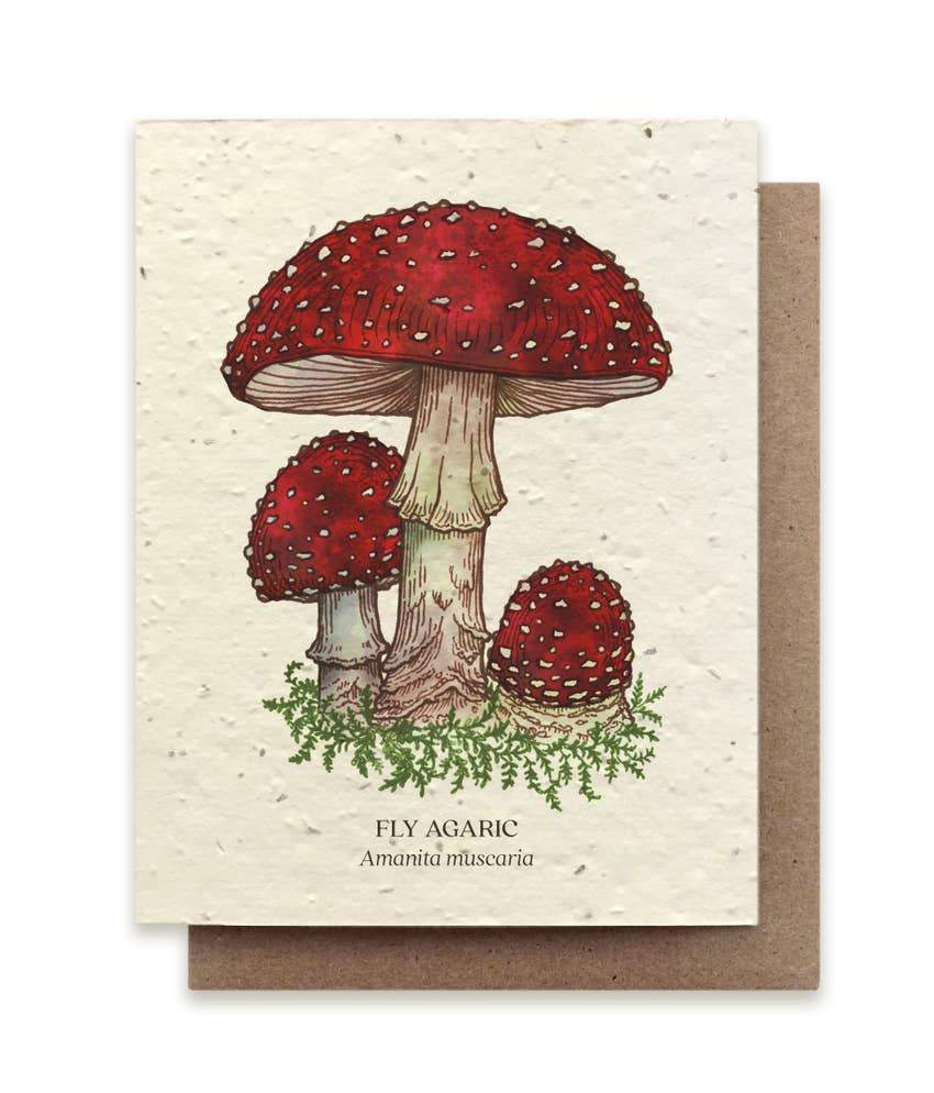The Bower Studio Fly Agaric Mushroom Individual Plantable Seed Cards