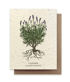 The Bower Studio Lavender Individual Plantable Seed Cards