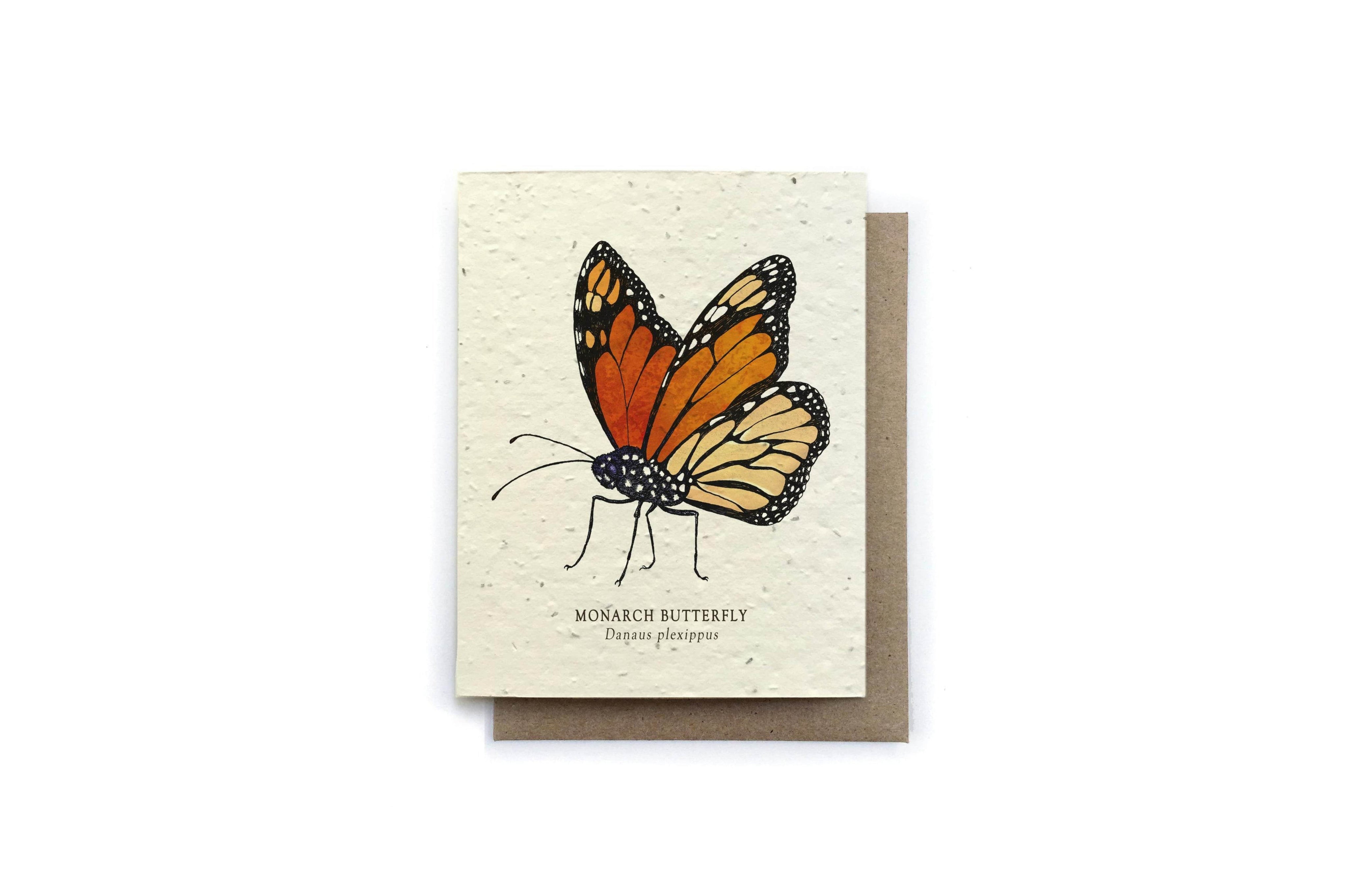 The Bower Studio Monarch Individual Plantable Seed Cards