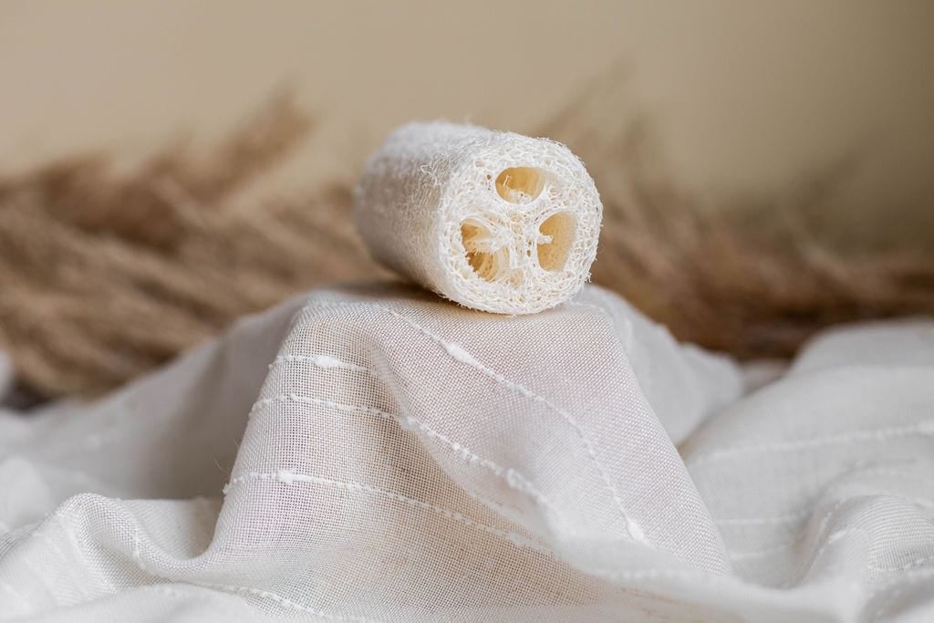 Natural Loofah Sponge - The Waste Less Shop