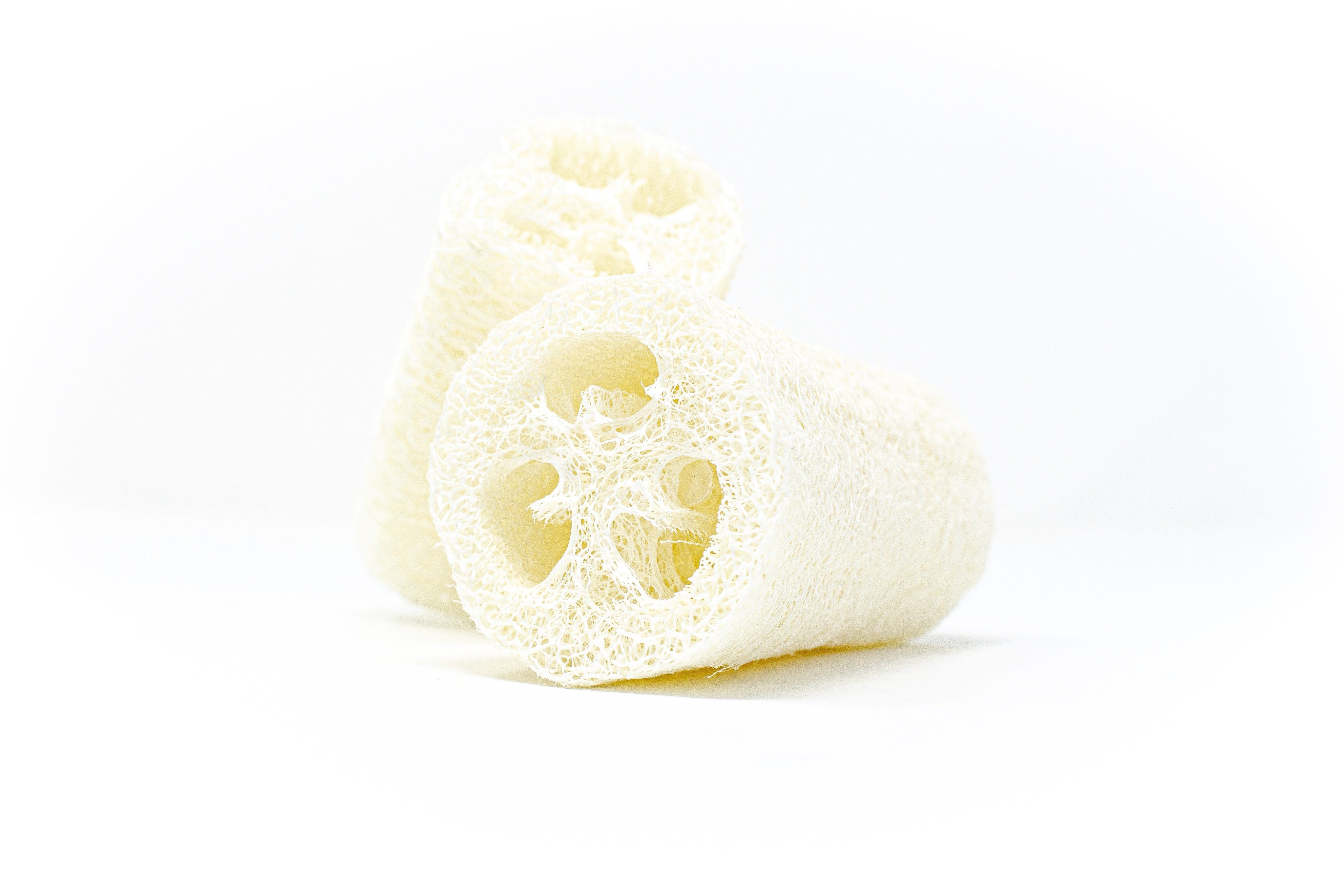 The Waste Less Shop Natural Loofah Sponge